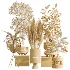 AV Indoor Plants Set 462 Licuala Grandis Palm and Dracaena Warneckii Cane and Snake Sansevieria and Ficus Cyathistipula and Chemlali Olive - Thumbnail 10