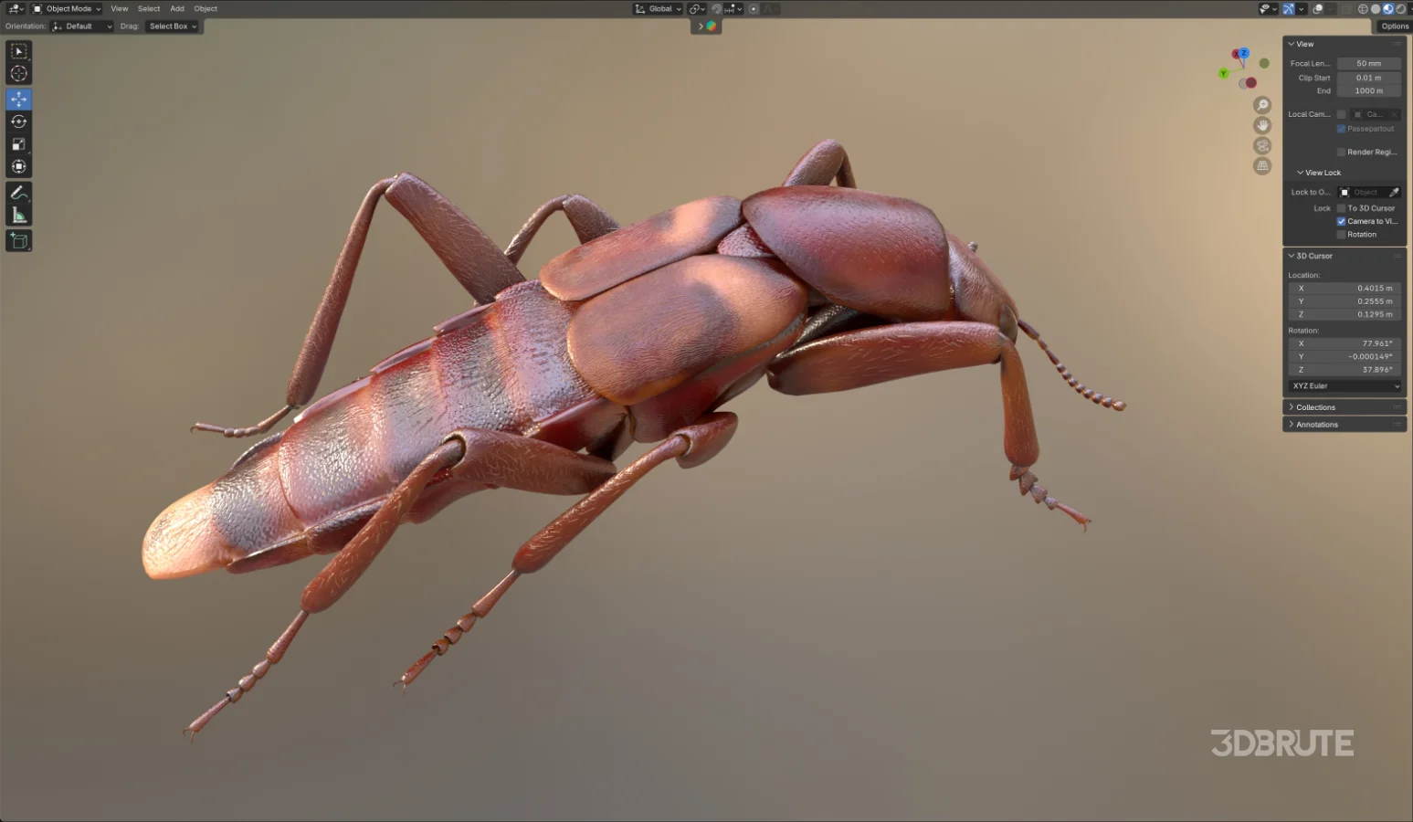 Beetle Insect 3D Model Image 10