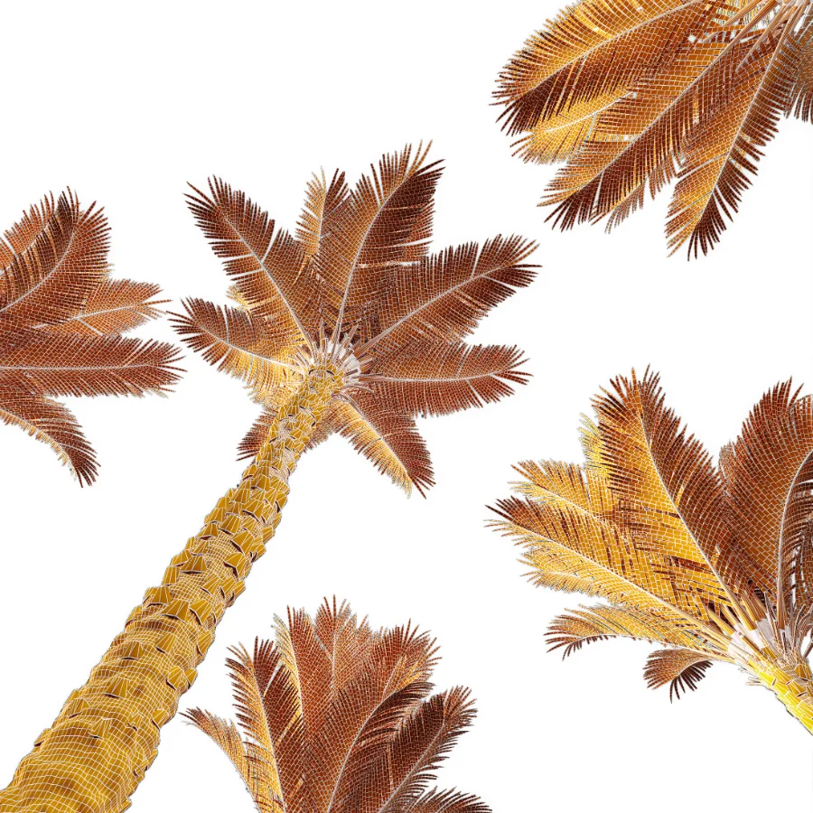 AV Phoenix Dactylifera Date Jurassic Palm Tree and Acer Saccharinum Image 10