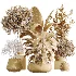 AV Indoor Plants Set 454 Chemlali Olive Tree and Bird Of ParadiseBird and Ficus microcarpa and Ficus Dracaena Marginata - Thumbnail 7