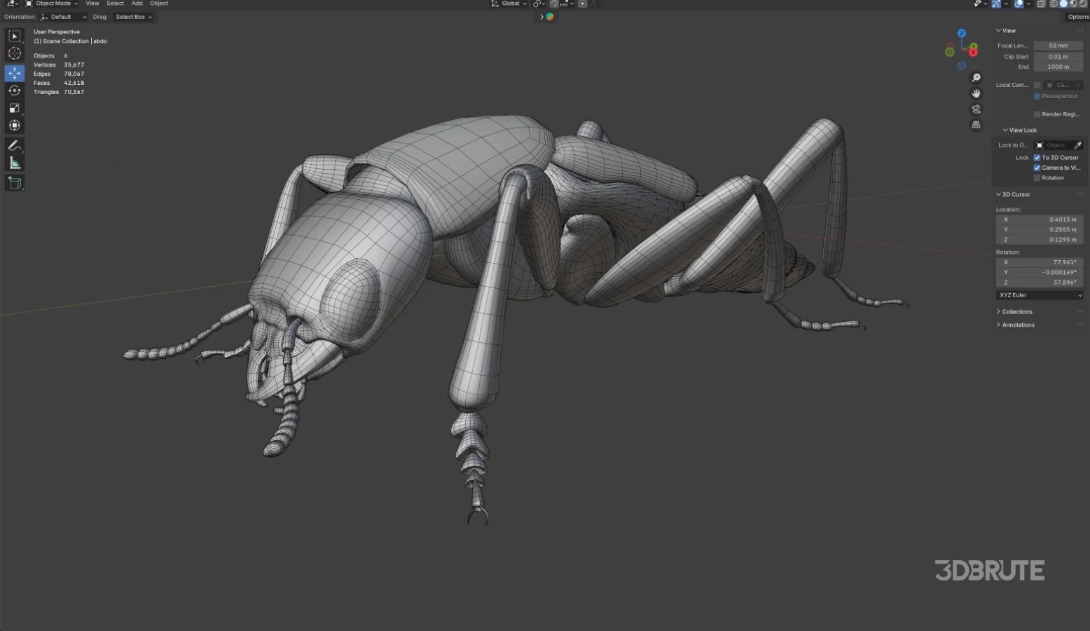 Beetle Insect 3D Model Image 12