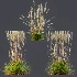 AV Calamagrostis Acutiflora Karl Foerster - Thumbnail 7