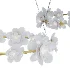 Petaluma 35-inch Ring Chandelier - Thumbnail 5