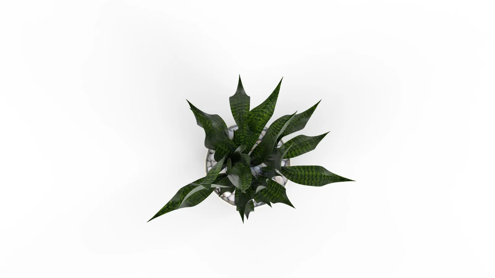 Artificial Snake Plant Plantin Planter Image 8