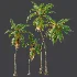 AV Cocos Nucifera palms - Thumbnail 8