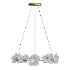 Petaluma 35-inch Ring Chandelier - Thumbnail 1