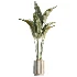AV Indoor Plants Set 461 Yucca Elephantipe and Cat Reed Palm and Bird Of Paradise and Schefflera Arboricola - Thumbnail 2