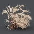 AV Carex Testacea Orange Sedge Grass Prairie Fire and Nassella Tenuissima fall - Thumbnail 5