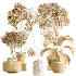 AV Indoor Plants Set 460 Ficus Cyathistipul and Calathea Lutea and Chemlali Olive and Ficus Benjamina African Fig - Thumbnail 9
