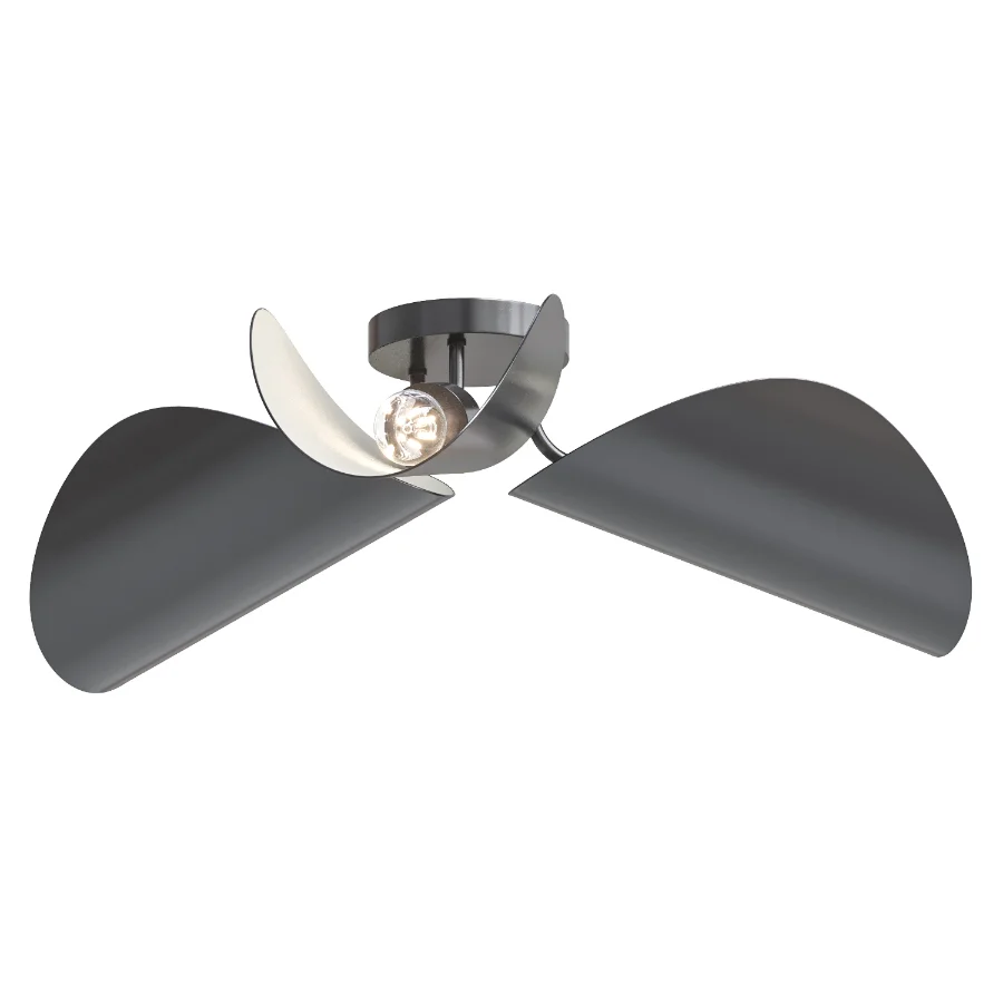 FUNAMBULE Metal wall lamp or ceiling lamp Image 2