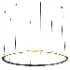 Labilis Mega Ring Pendant Lamp by Paolo Castelli - Thumbnail 2