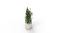 Artificial Snake Plant Plantin Planter - Thumbnail 5