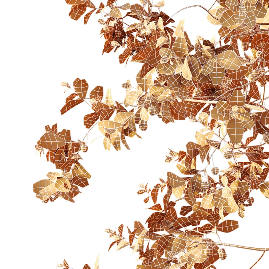 AV Plants Crataegus Pinnatifida Hawthorn Version02 Image 7