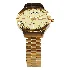 Maxima GOLD Men Gold Dial Analogue Watch - Thumbnail 1
