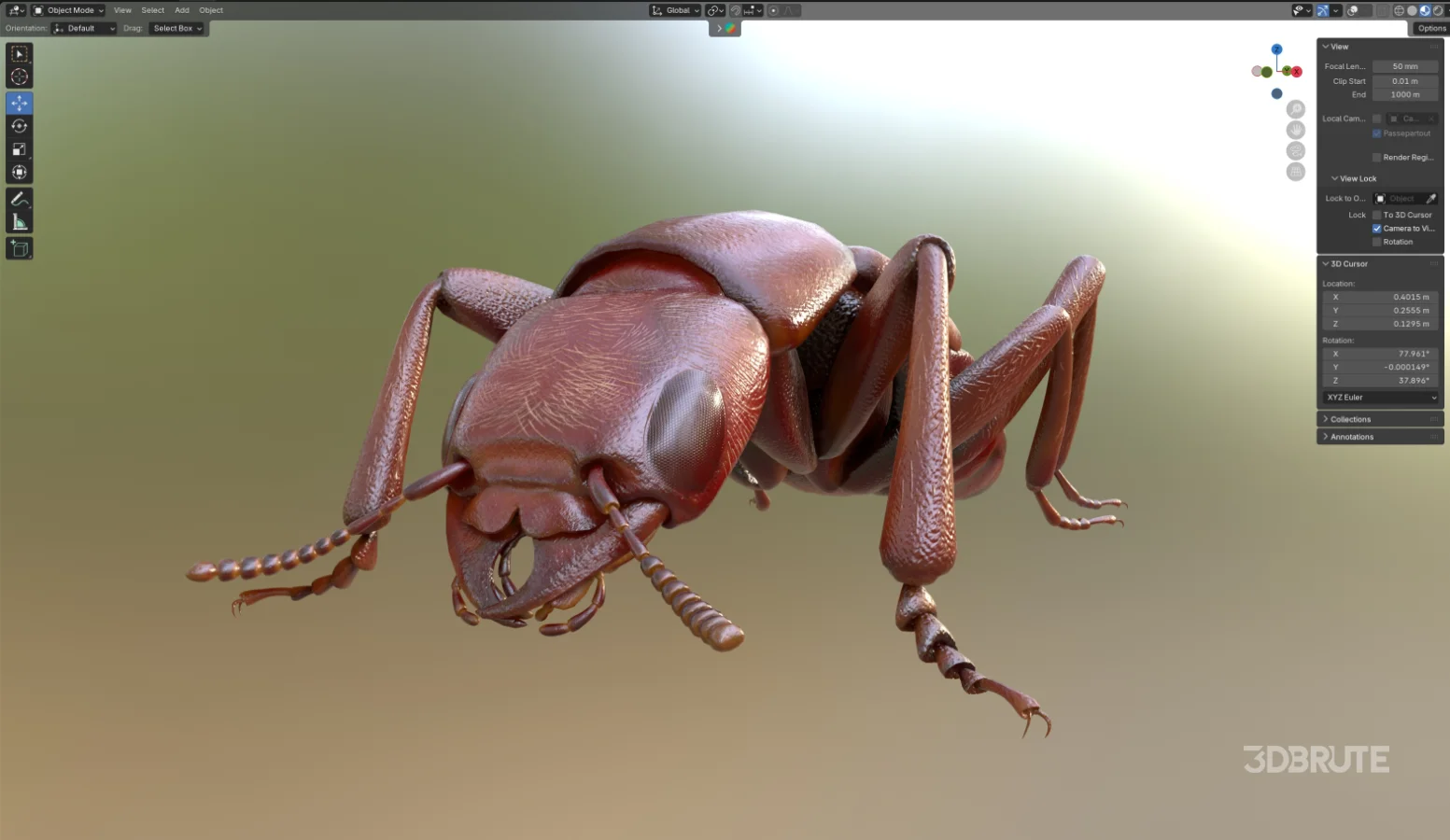 Beetle Insect 3D Model Image 5