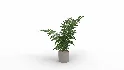 Faux Plants - Thumbnail 5