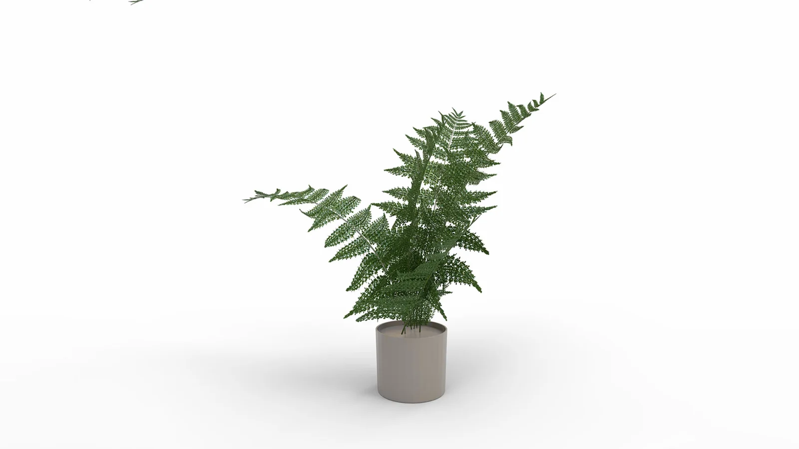 Faux Plants Image 5