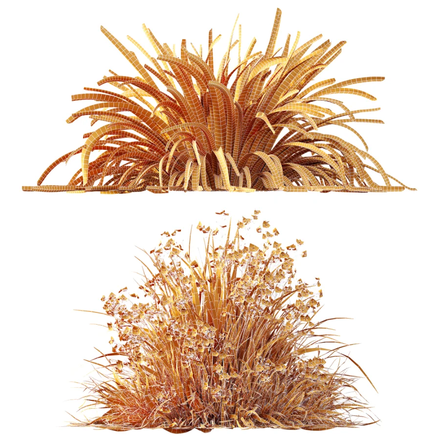 ntal grasses. These elegant groundcover species are valued for their refined texture, compact growth habit, and exceptional versatility in contemporary landscape architecture, Japanese gardens, urban parks, courtyards, and high-end residential projects. Image 13