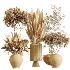 AV Indoor Plants Set 450 Chemlali Olive Tree and Sansevieria Trifasciata and Spathiphyllum Peace Lily and Ficus Dracaena Marginata - Thumbnail 7