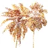 AV Borassus Flabellifer and Cocos Nucifera Windy palms - Thumbnail 12