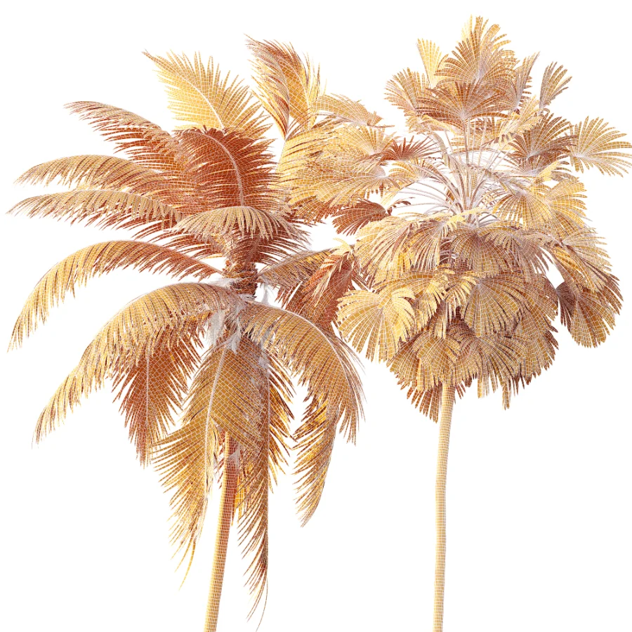 AV Borassus Flabellifer and Cocos Nucifera Windy palms Image 12