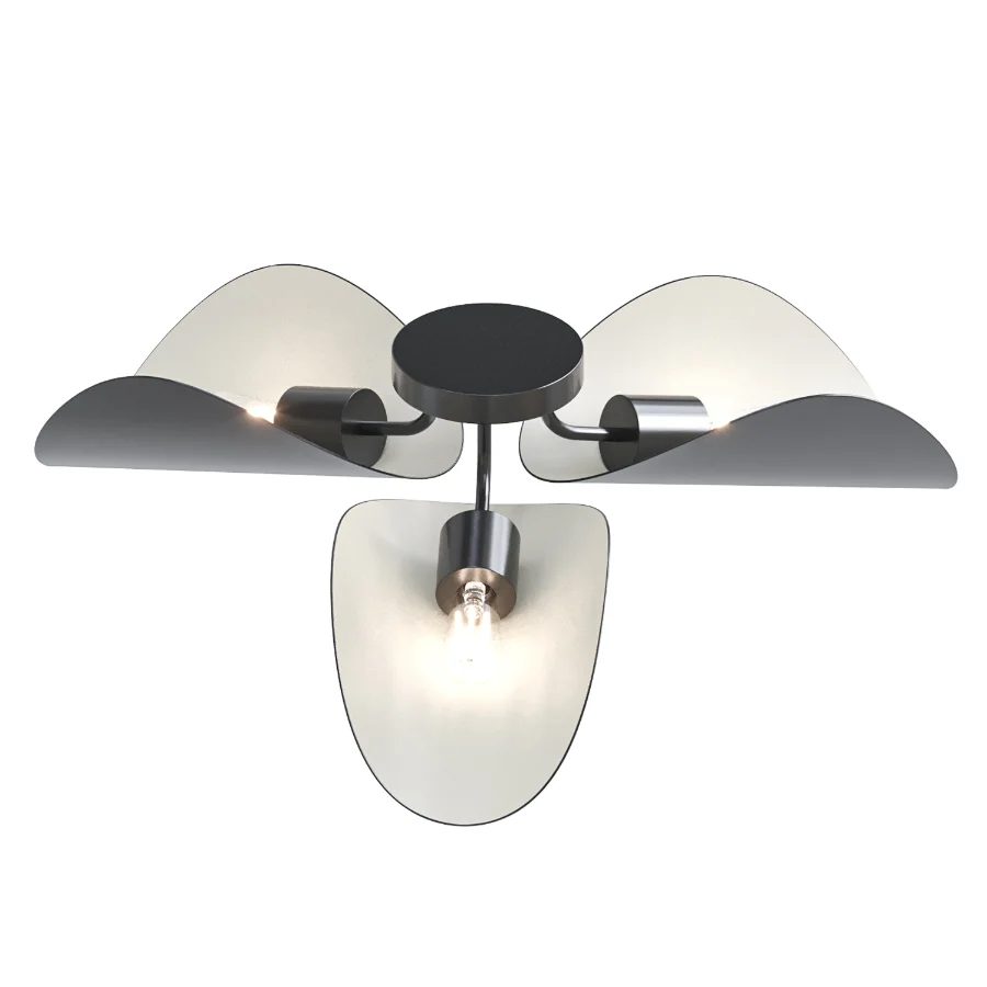 FUNAMBULE Metal wall lamp or ceiling lamp Image 4