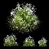 ntal grasses. These elegant groundcover species are valued for their refined texture, compact growth habit, and exceptional versatility in contemporary landscape architecture, Japanese gardens, urban parks, courtyards, and high-end residential projects. - Thumbnail 6