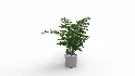 Faux Plants - Thumbnail 3