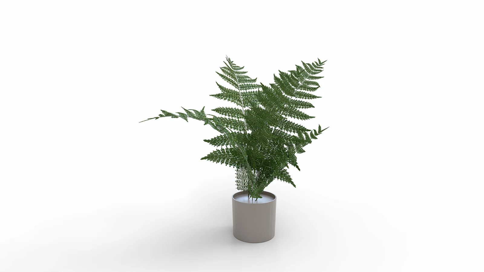 Faux Plants Image 3