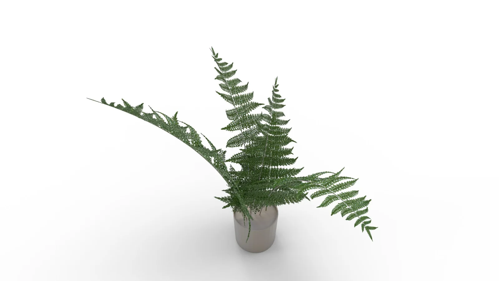 Faux Plants Image 4