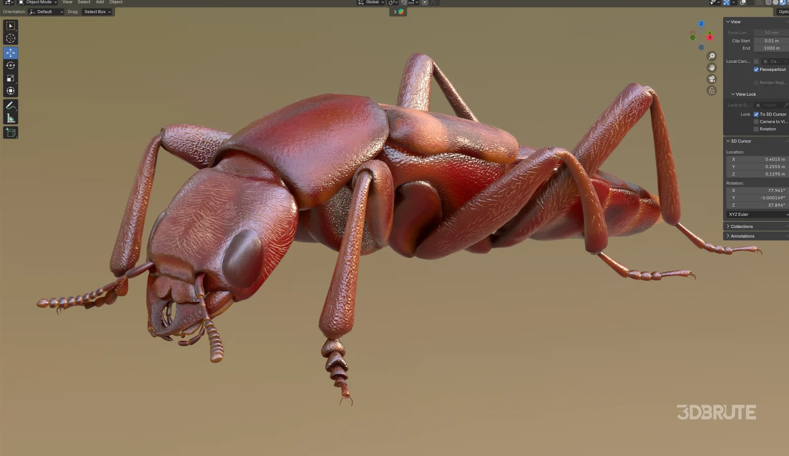 Beetle Insect 3D Model Image 9