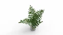 Faux Plants - Thumbnail 1