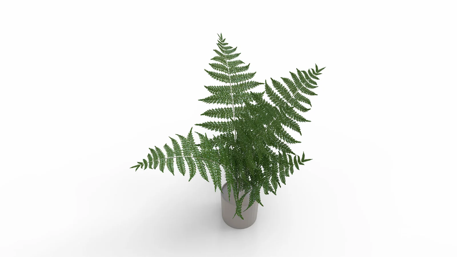Faux Plants Image 1