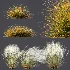 AV Stipa Tenuissima Ostnica Mocna Pony Tails and Carex Testacea Orange Sedge Grass Prairie Fire - Thumbnail 7