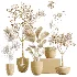 AV Indoor Plants Set 449 Ficus Dracaena Marginata and Ravenala Banana and Spineless Yucca - Thumbnail 7