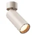 Ceiling Luminaire Focus Led by Maytoni - Thumbnail 1