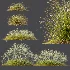 AV Stipa arundinacea Anemanthele lessoniana and Stipa arundinacea Sweet Grass - Thumbnail 9