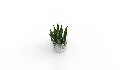 Artificial Snake Plant Plantin Planter - Thumbnail 2