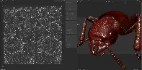 Beetle Insect 3D Model - Thumbnail 11