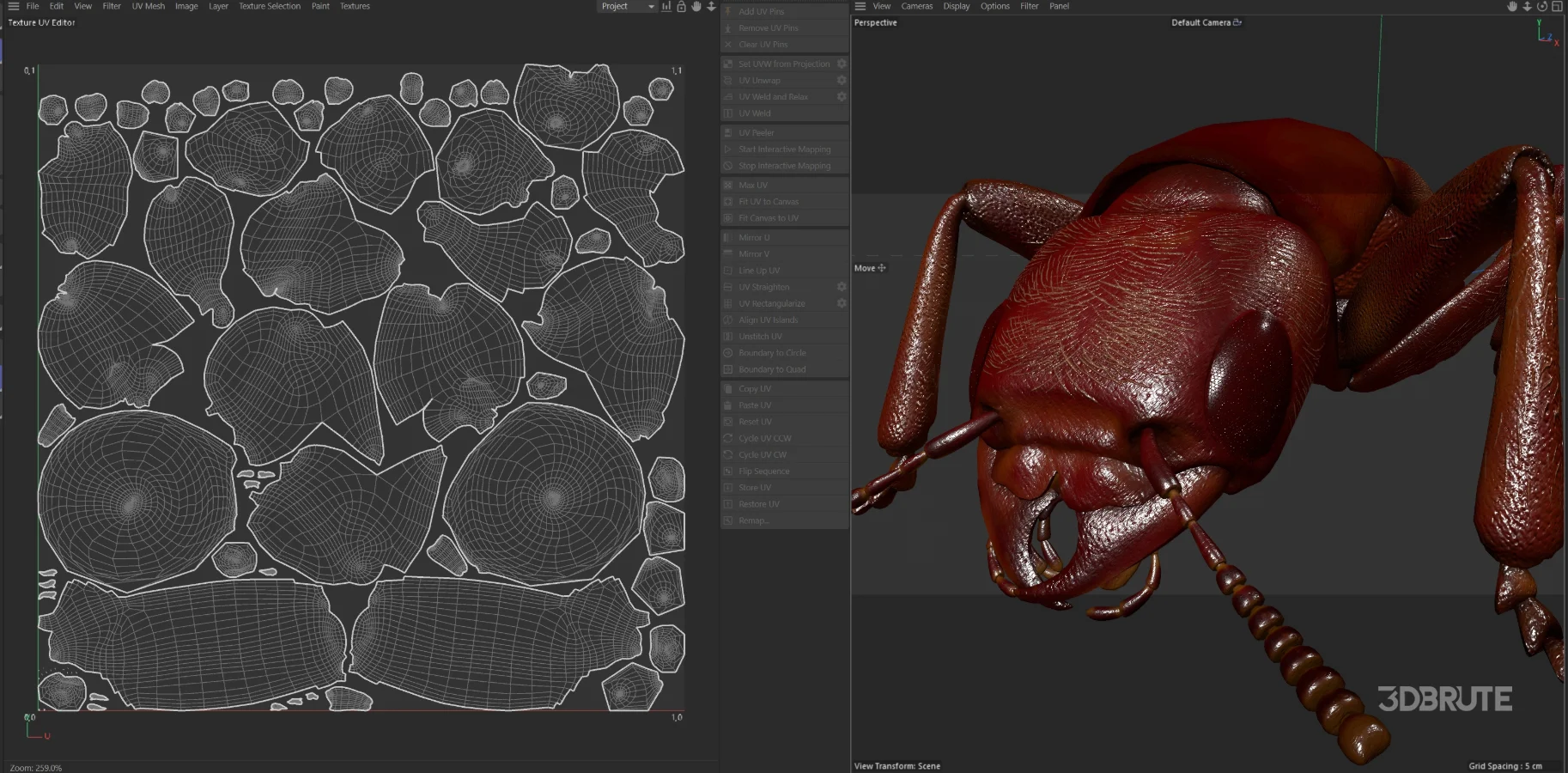 Beetle Insect 3D Model Image 11