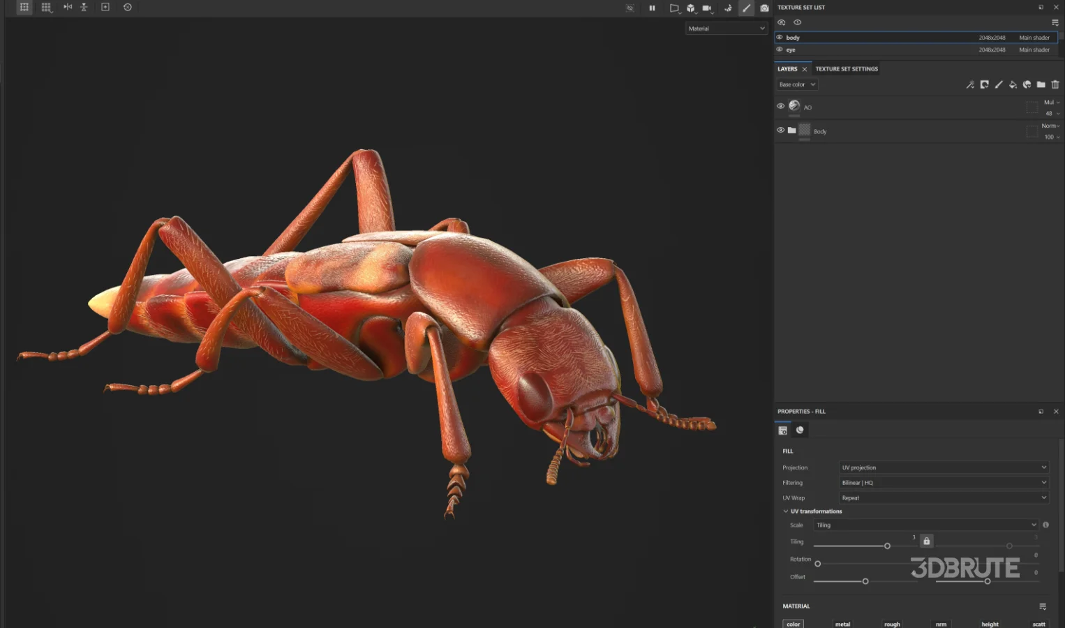 Beetle Insect 3D Model Image 4