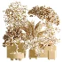AV Indoor Plants Set 458 Ravenala Banana and Wilsonii Chemlali Olive and Alnus Glutinosa - Thumbnail 9