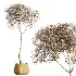 AV Indoor Plants Set 459 Chemlali Olive and Cat Reed Palm and China Orange Tree and Ficus Dracaena Marginata and Ravenala Banana - Thumbnail 9