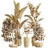 AV Indoor Plants Set 455 Schefflera Arboricola and Cat Reed Palm and Bird Of Paradise and Chemlali Olive Tree and Ficus lyrate - Thumbnail 6