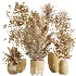 AV Indoor Plants Set 447 China Orange Tree and Spineless Yucca and Cyara Areca Palm and Europaea Olive Eucalyptus and Ficus Elastica Beliza - Thumbnail 7