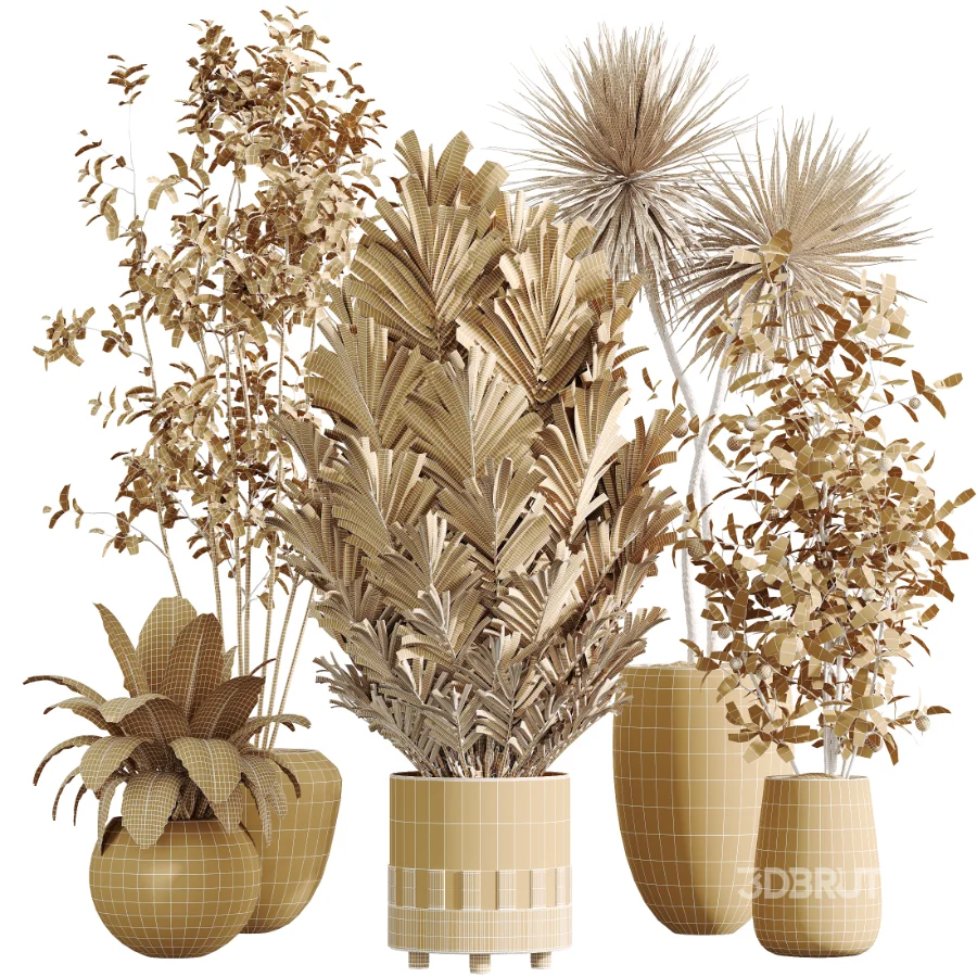 AV Indoor Plants Set 447 China Orange Tree and Spineless Yucca and Cyara Areca Palm and Europaea Olive Eucalyptus and Ficus Elastica Beliza Image 7