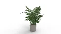 Faux Plants - Thumbnail 8