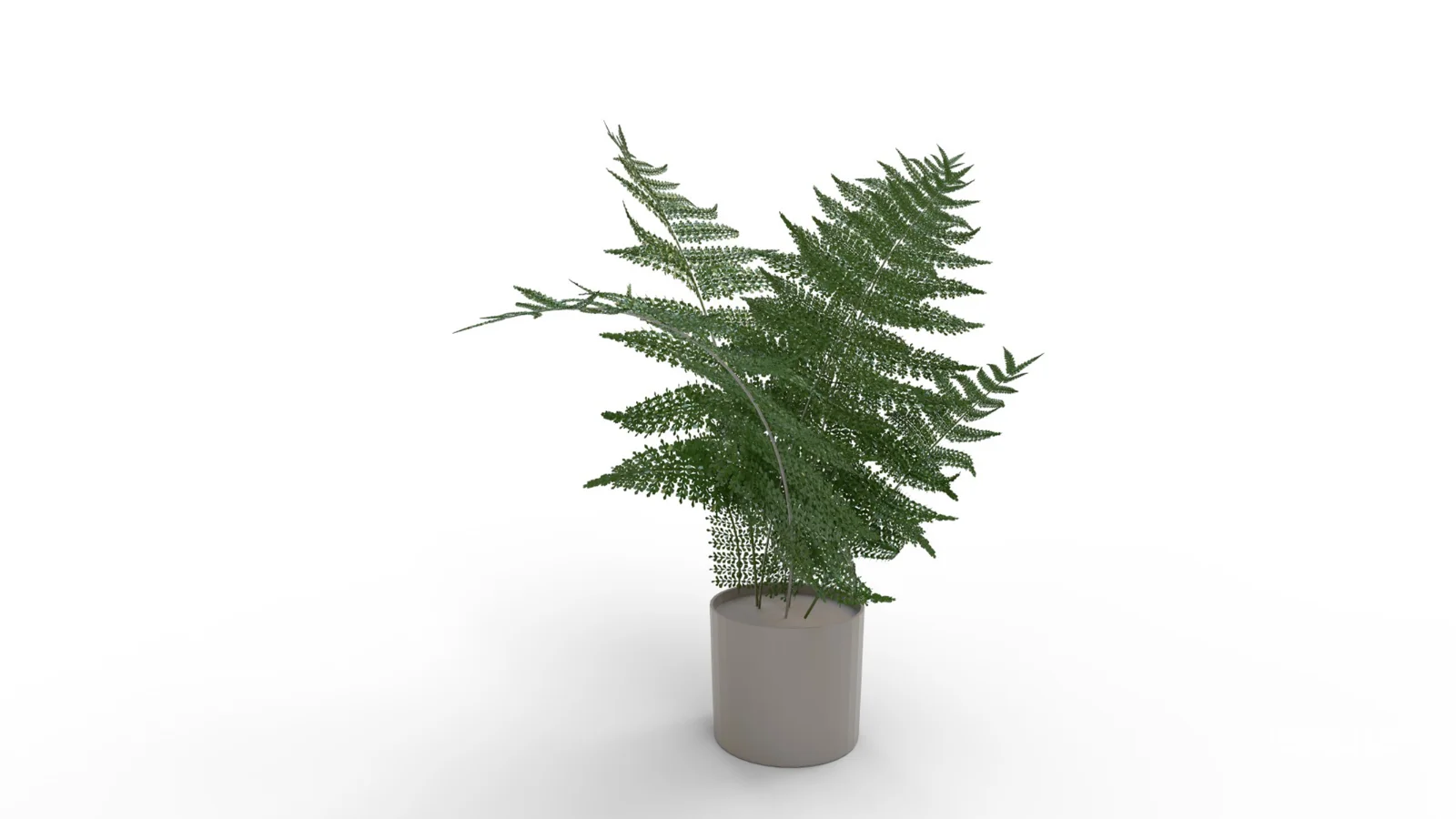 Faux Plants Image 8