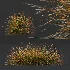 AV Stipa Tenuissima Ostnica Mocna Pony Tails and Carex Testacea Orange Sedge Grass Prairie Fire - Thumbnail 3