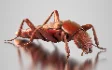 Beetle Insect 3D Model - Thumbnail 7